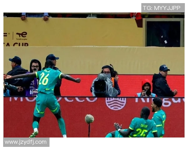 南非对阵塞内加尔比赛裁判分析及争议判罚回顾